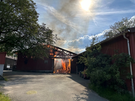 Symbolbild FWZSSG Linsebühl